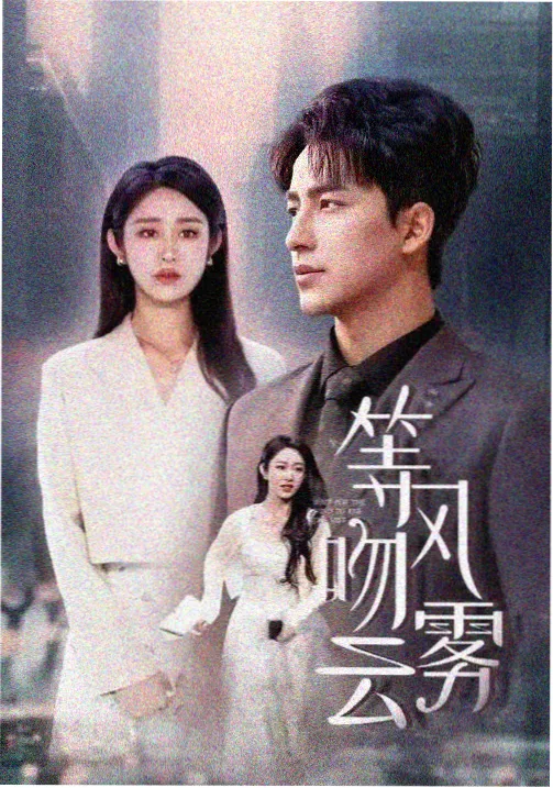 长夜将明 热播电视剧排行榜